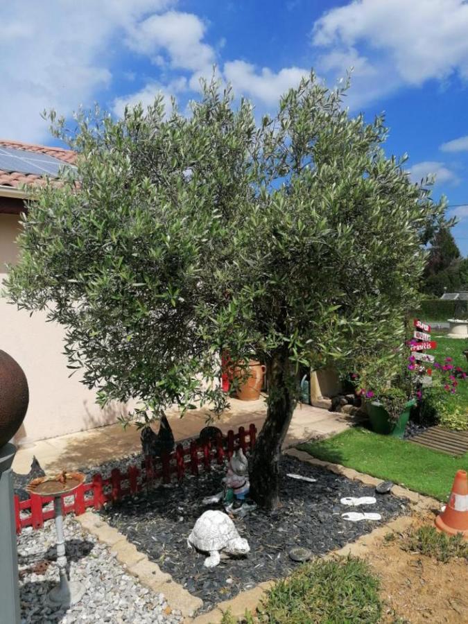 La Roulotte Des Trois Arbres Bed & Breakfast Oradour-sur-Glane Exterior photo